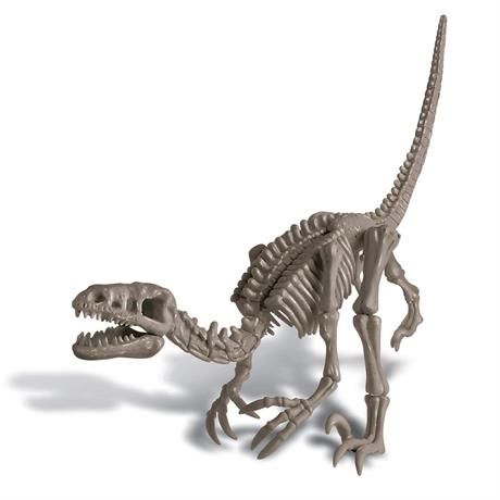 Набір для розкопок 4M Скелет велоцираптора (00-13234) (розкопки динозавр) набір для дослідів 00-13234 фото