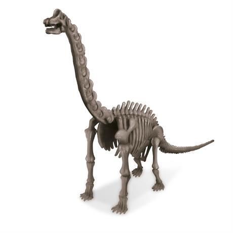 Набор для раскопок 4M Скелет брахиозавра (раскопки динозавра игрушка) (00-03237) набор для опытов 00-03237 фото