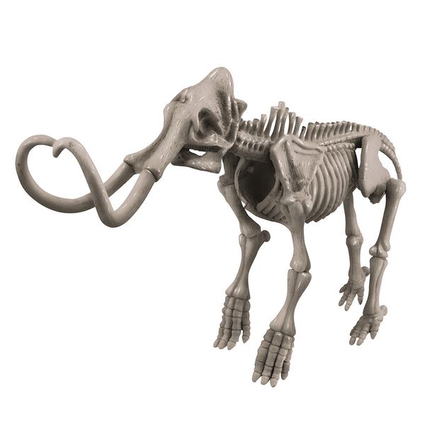 Набор для раскопок 4M Скелет мамонта (00-03236), набор для опытов, раскопки 00-03236 фото