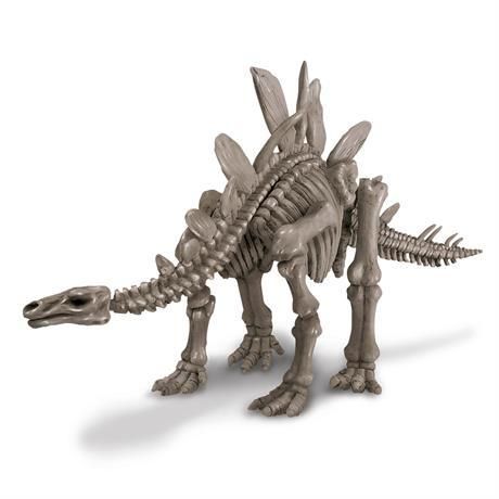 Набір для розкопок 4M Скелет стегозавра (розкопки динозавра іграшка) (00-03229) набір для дослідів 00-03229 фото