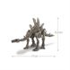 Набір для розкопок 4M Скелет стегозавра (розкопки динозавра іграшка) (00-03229) набір для дослідів 00-03229 фото 6