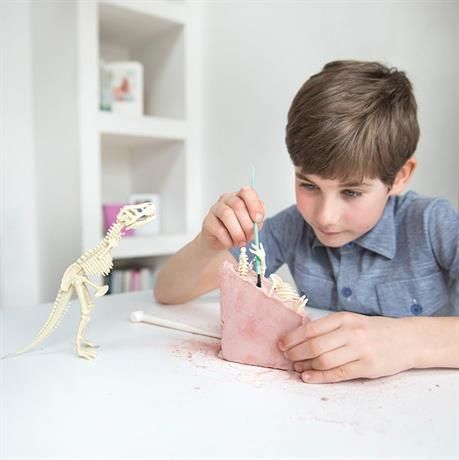 Набор для раскопок 4M Скелет трицератопса (раскопки динозавра игрушка) (00-03228) набор для опытов 00-03228 фото