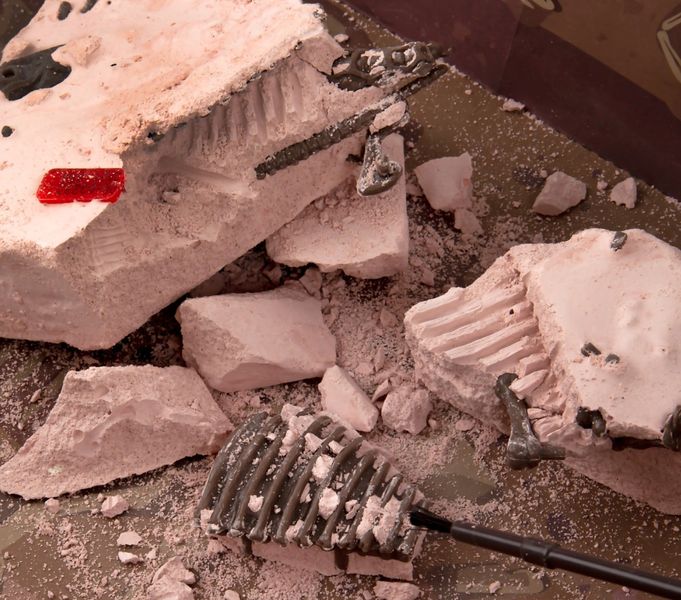 Набор для раскопок 4M Скелет трицератопса (раскопки динозавра игрушка) (00-03228) набор для опытов 00-03228 фото