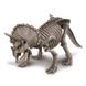 Набор для раскопок 4M Скелет трицератопса (раскопки динозавра игрушка) (00-03228) набор для опытов 00-03228 фото 3