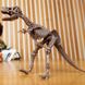 Набор для раскопок 4M Скелет тираннозавра (раскопки динозавр) (00-03221), набор для опытов 00-03221 фото 3